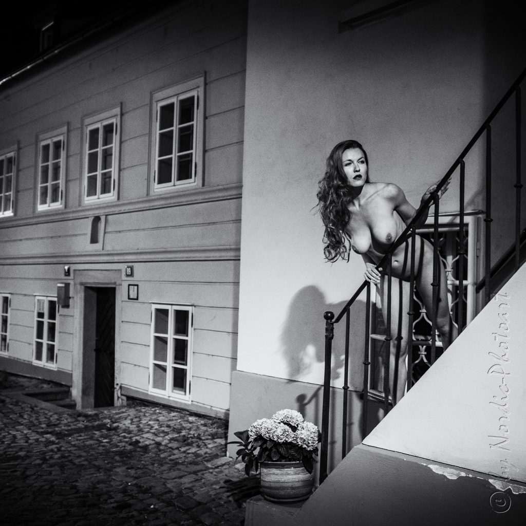 DSC_0774_6x6-FilmNoir1-HelmutNewton