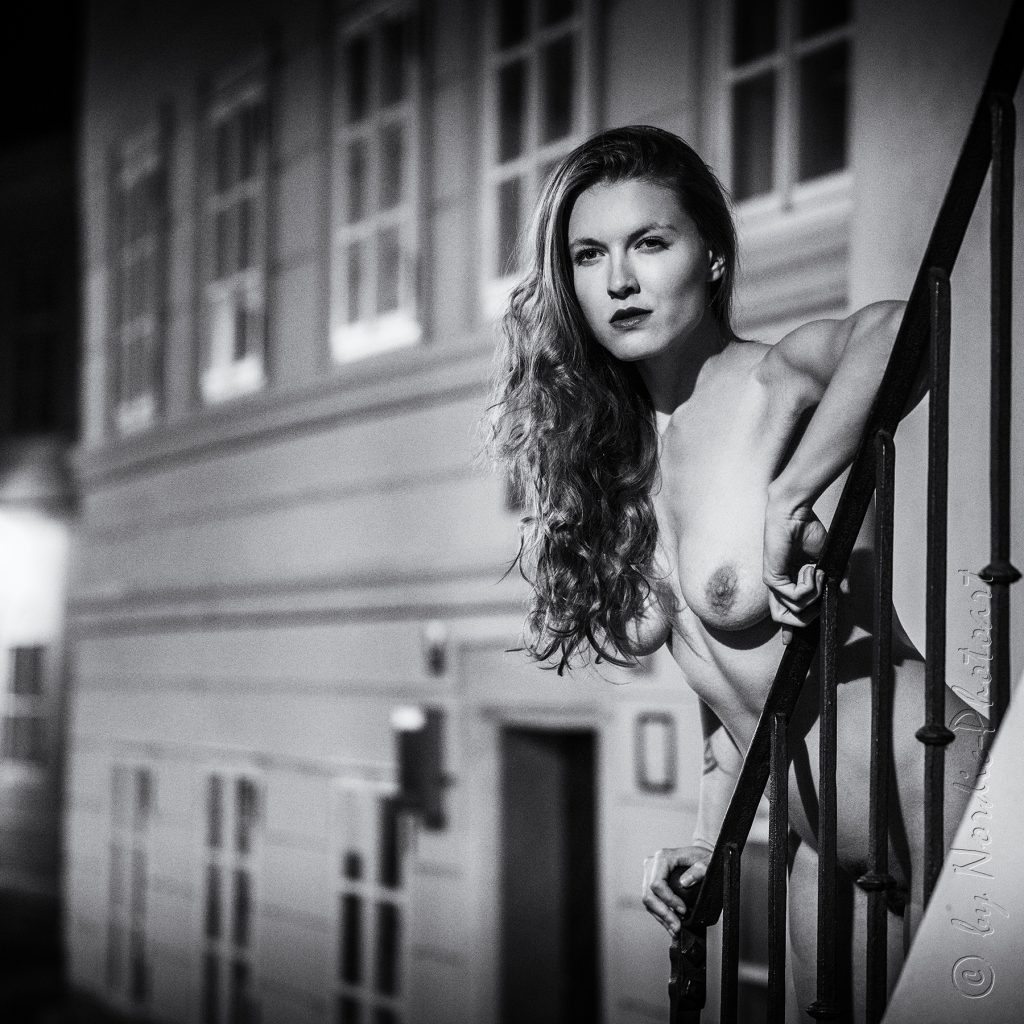 DSC_0797_6x6-FilmNoir1-HelmutNewton
