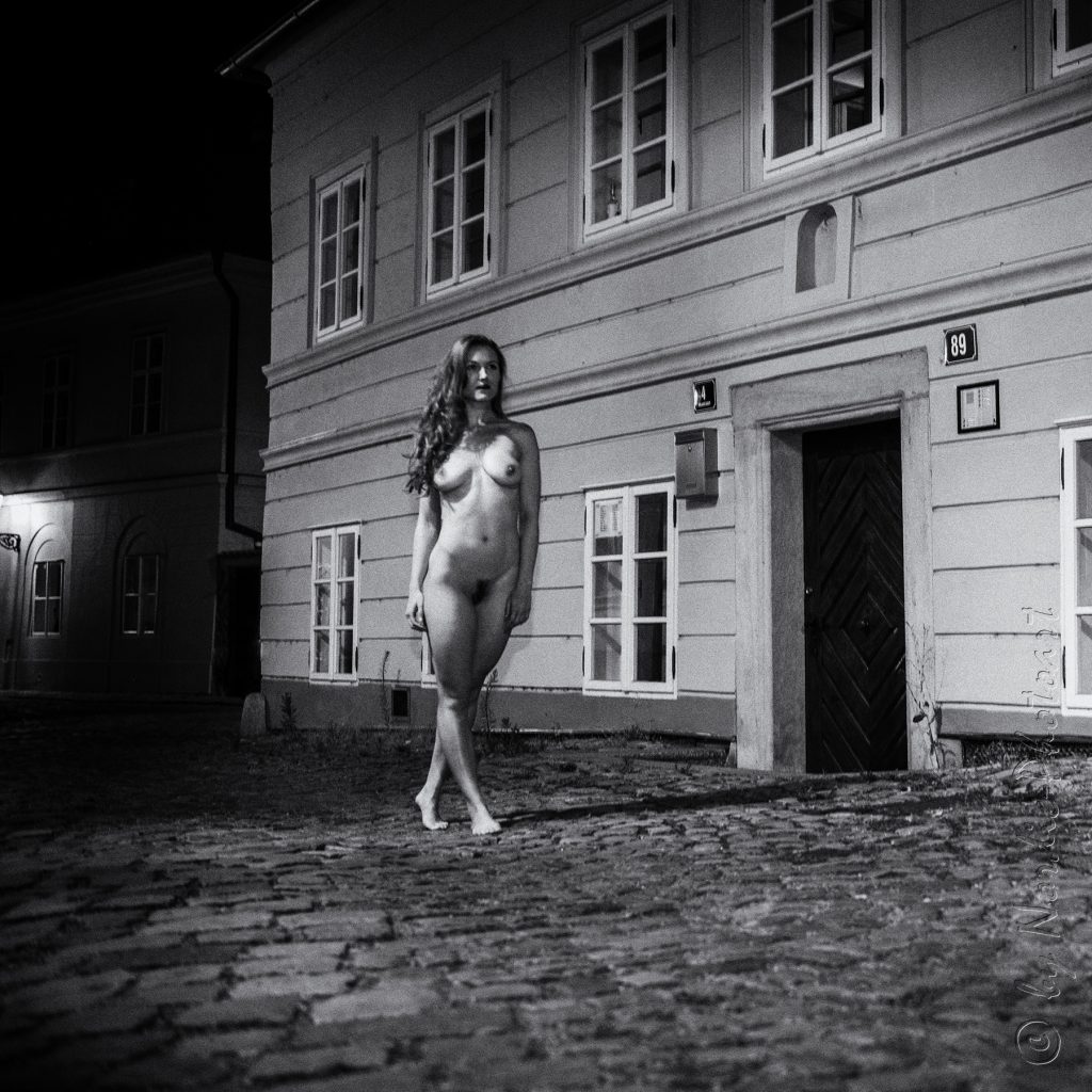DSC_0872_6x6-FilmNoir1-HelmutNewton