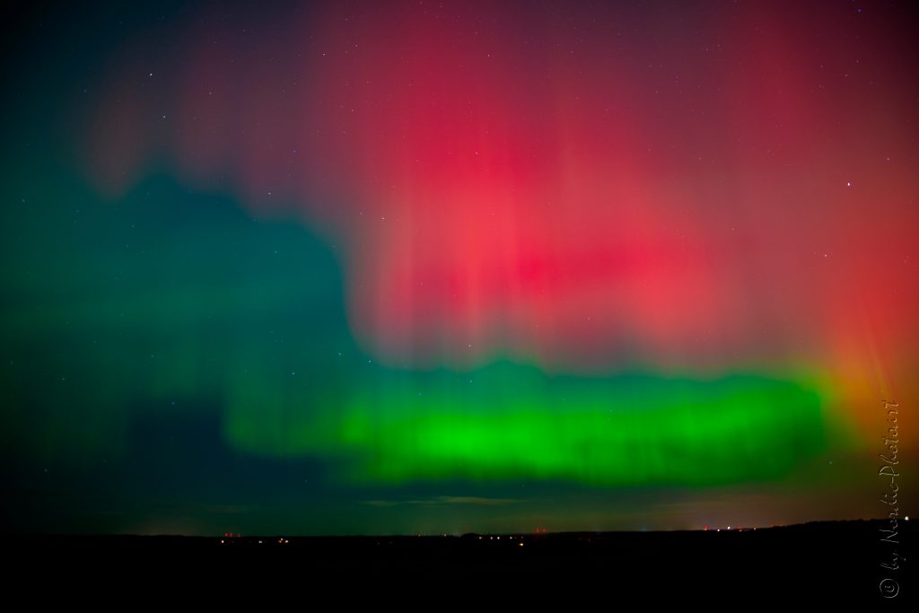 _DSC0852