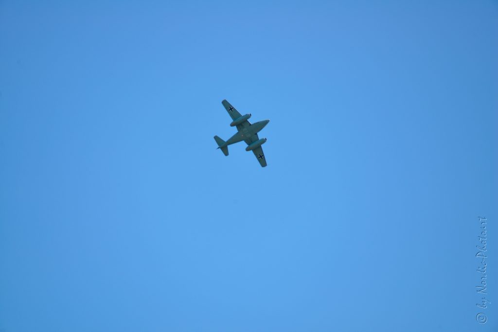 DSC_2881