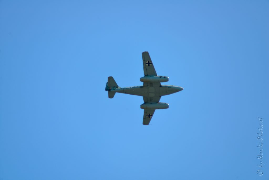 DSC_2949