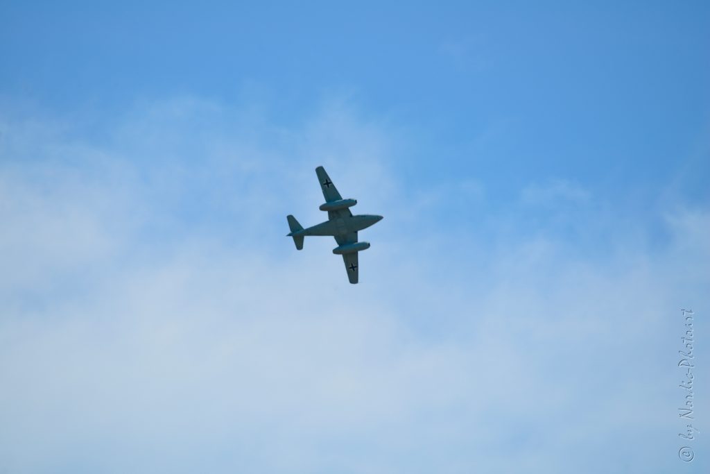 DSC_2974