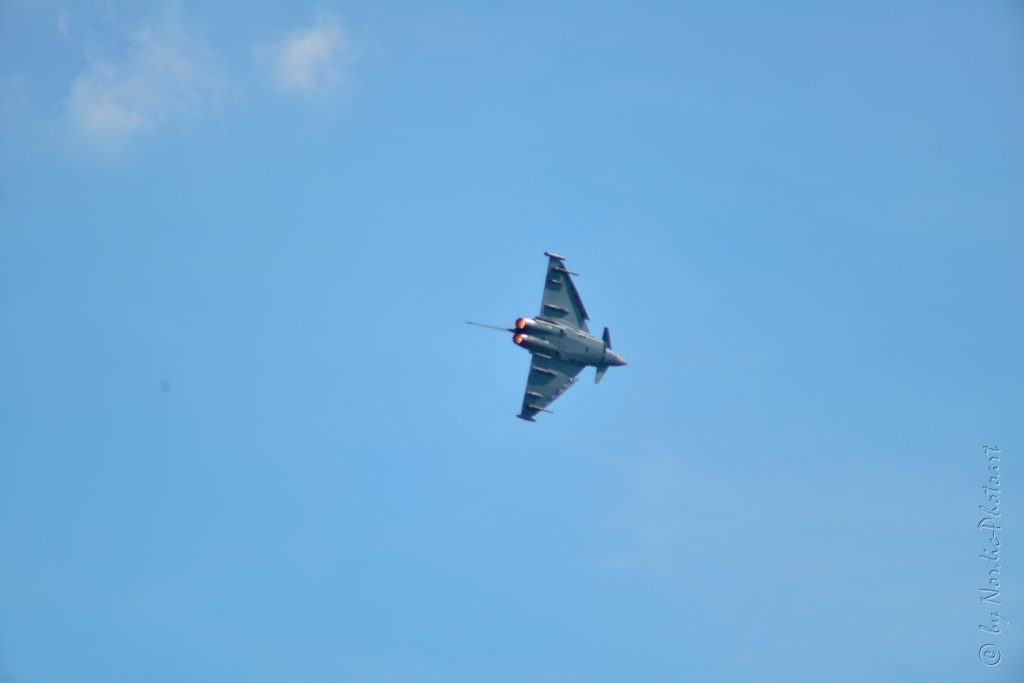 DSC_4356