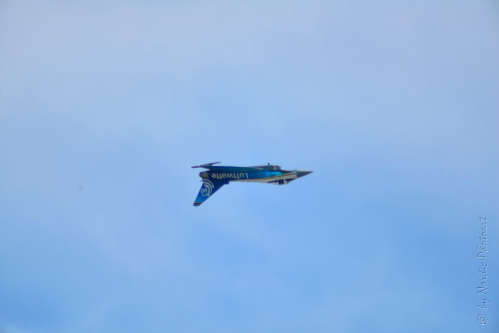 DSC_4431