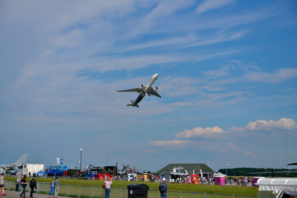 DSC_4895