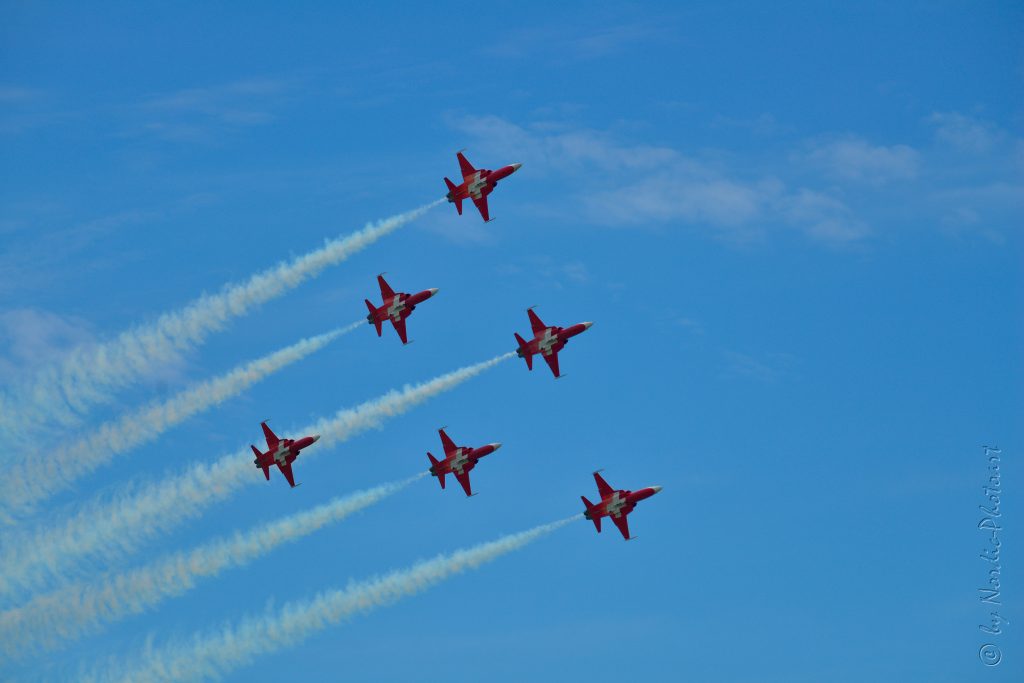DSC_4997