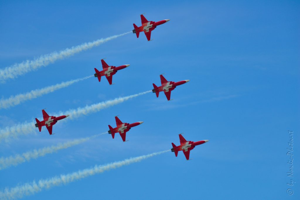 DSC_5000