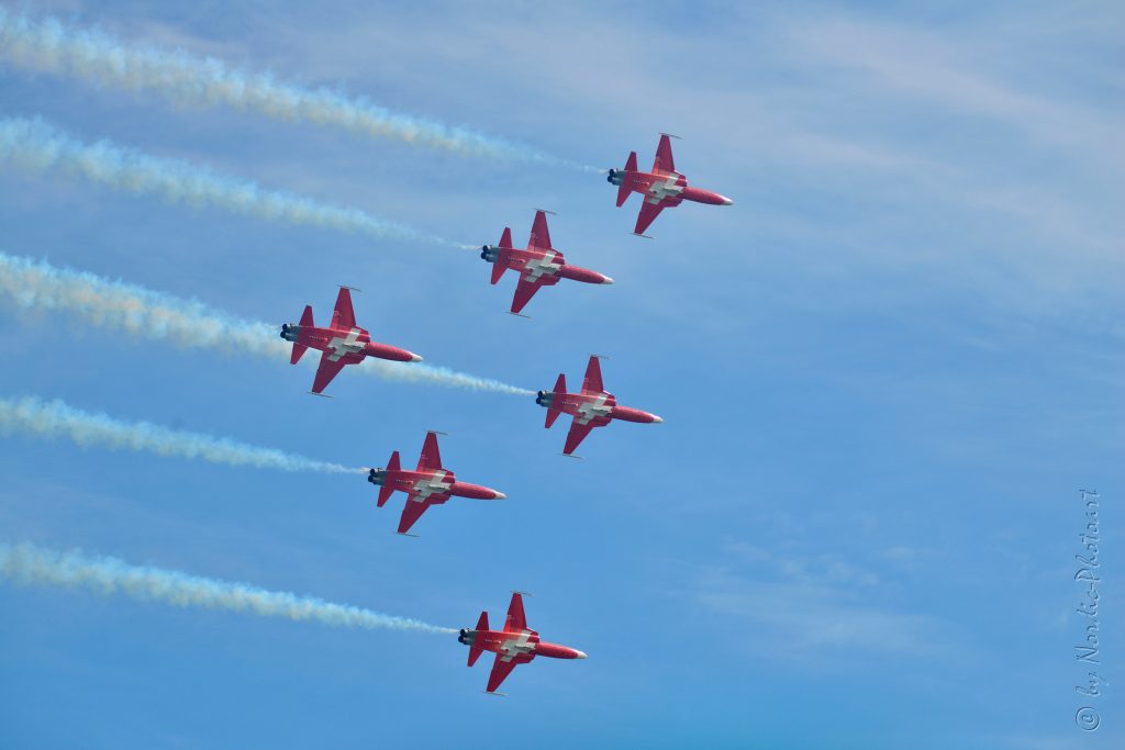DSC_5002