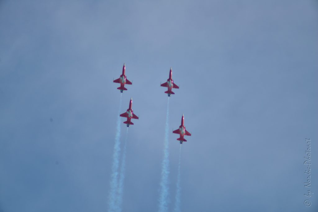 DSC_5085