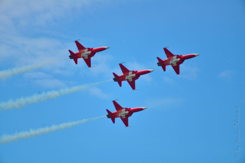 DSC_5237