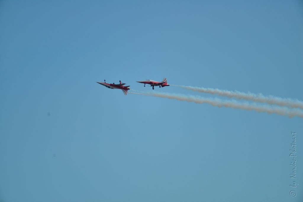 DSC_5277
