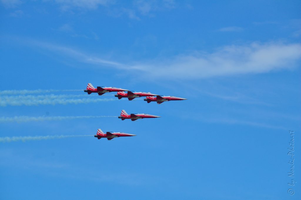 DSC_5351