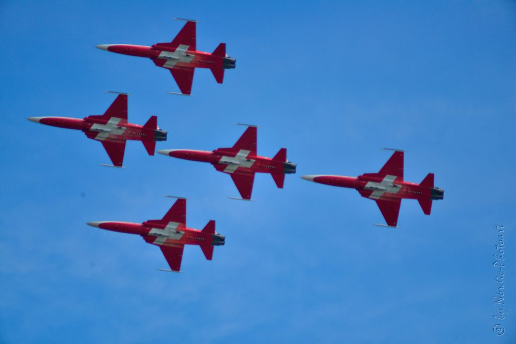 DSC_5380