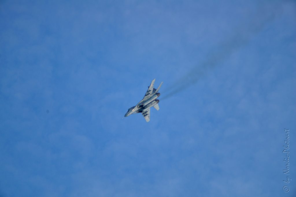 DSC_5878