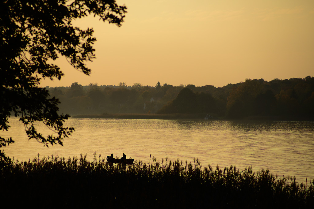 DSC_2728-B1