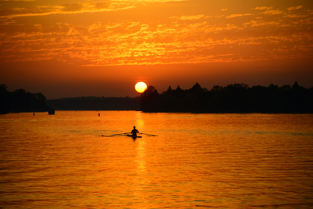 DSC_2752-B1