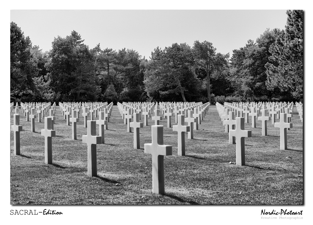 DSC_5283-VollerKontrastStruktur-RW