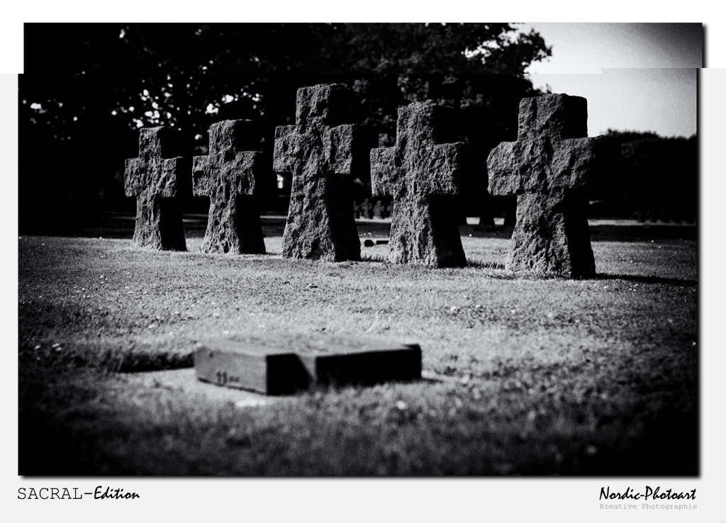 DSC_5532-FilmNoir1-RW