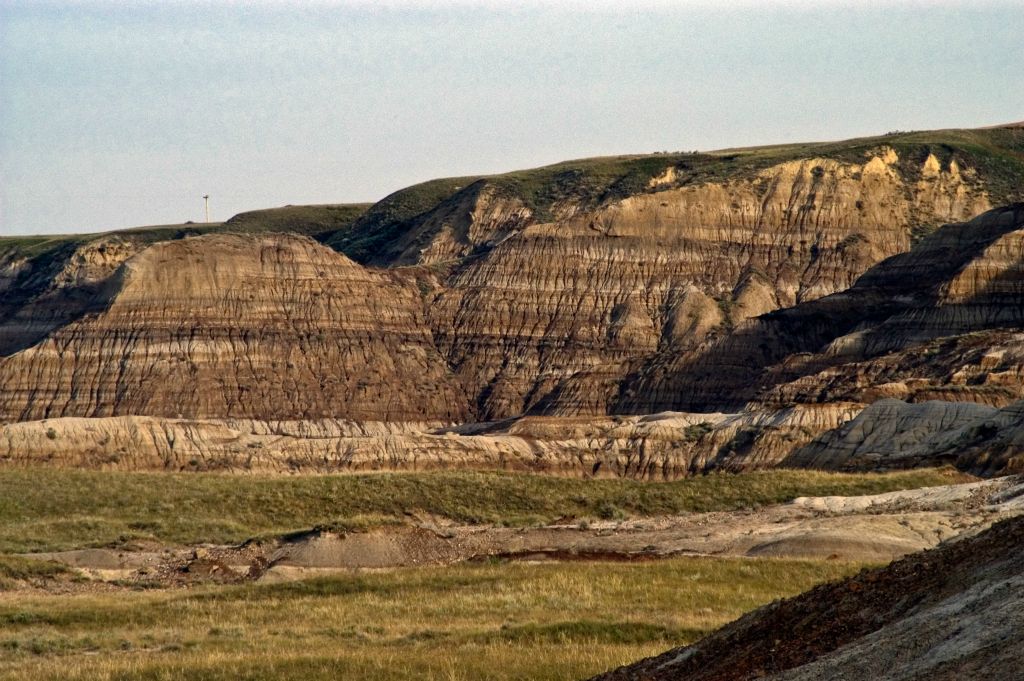 DSC_CA_1511