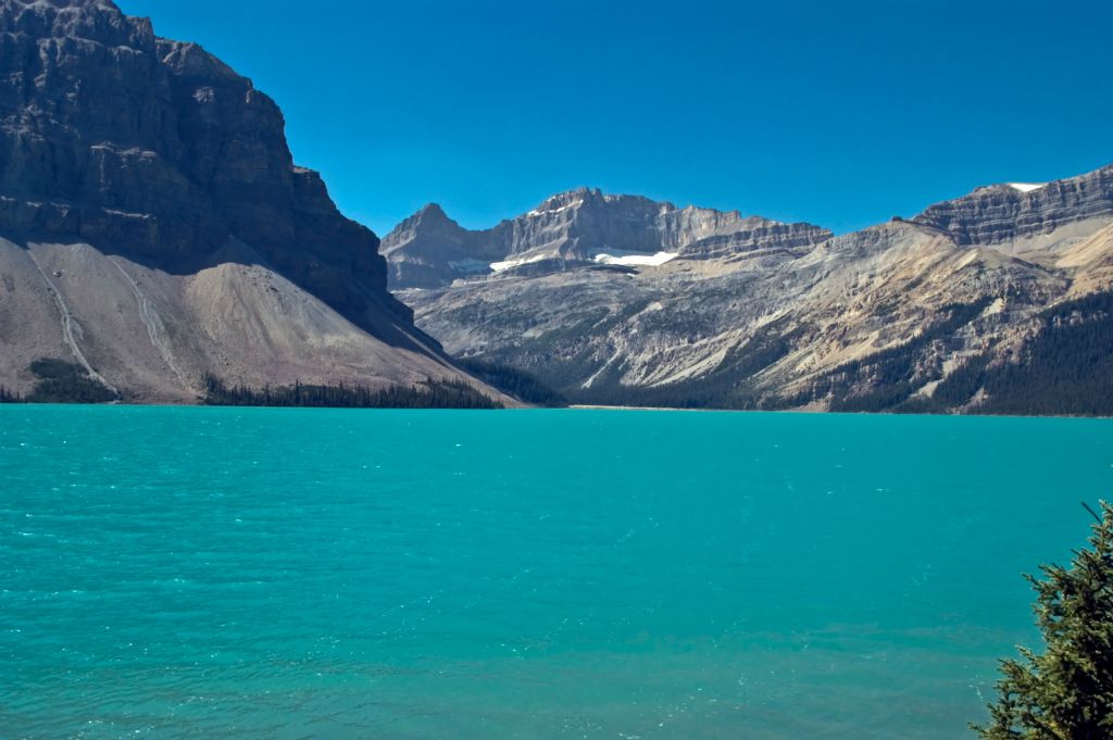 DSC_CA_1513