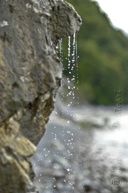 DSC_RUEG-9095-2